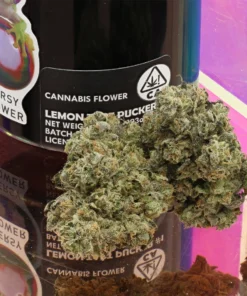 710 labs strains